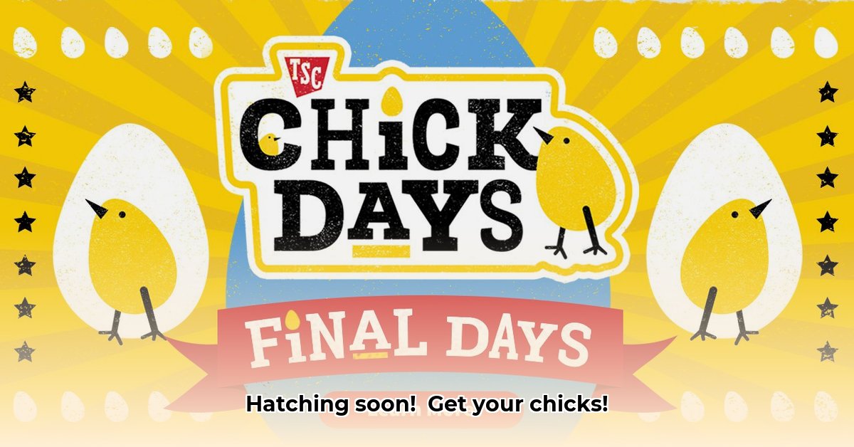 tractor-supply-chick-days-2024